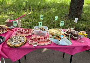 Zdjęcie 12 na 31