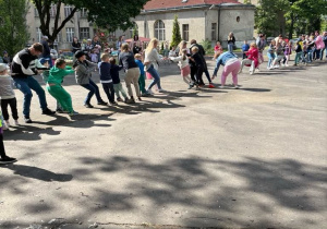 Zdjęcie 20 na 31