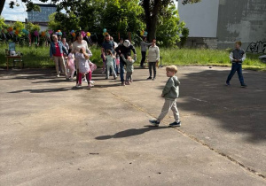 Zdjęcie 24 na 31