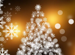 Rodzinnych i Spokojnych Świąt życzy PM 224