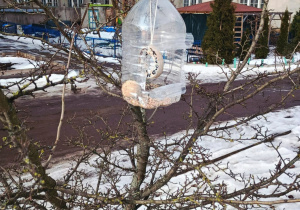 Zimowe prace Stokrotek