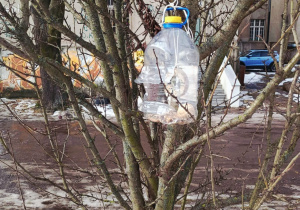 Zimowe prace - Stokrotki