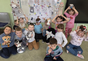 Dzień Kota u Stokrotek