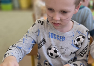 Dzień Kota - Daniel