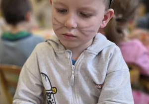 Dzień Kota - Antoni