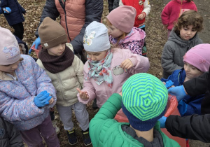 "Galante Sprzątanie" Stokrotek i Myszek