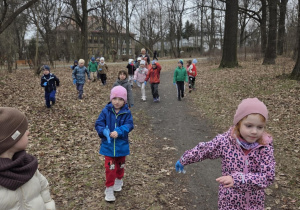 "Galante Sprzątanie" - Stokrotki