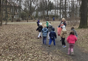 Stokrotki - "Galante Sprzątanie"