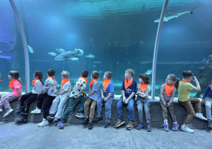 Wizyta w Orientarium - grupa "Stokrotki"