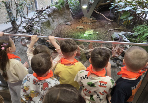 Stokrotki podczas zwiedzania