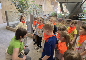 Stokrotki rozmawiają z przewodnikiem