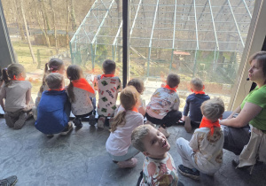 Dzieci z grupy "Stokrotki" w Orientarium