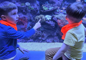 Wizyta w Orientarium - obserwacje podwodne Stokrotek