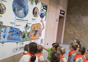 Stokrotki oglądają plan zwiedzania