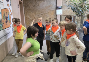 Stokrotki podczas rozmowy z przewodnikiem