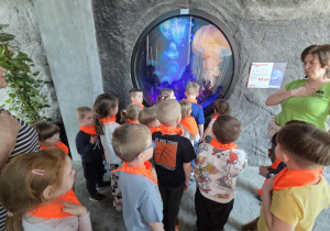 Stokrotki podczas zwiedzania z przewodnikiem