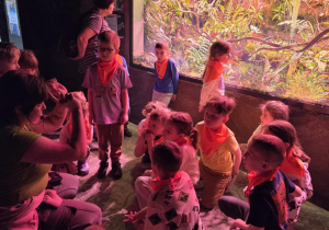 Grupa "Stokrotki" podczas wizyty w Orientarium