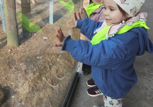 Wizyta w Orientarium - Zlata i Wiktoria, Biedronki