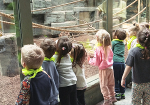 Dzieci obserwują małpki w Orientarium