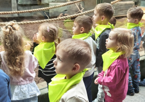 Dzieci z grupy "Biedronki" w Orientarium