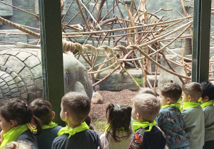 Biedronki w Orientarium