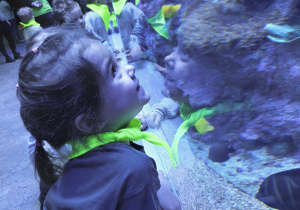 Wizyta w Orientarium - Sara, Biedronki