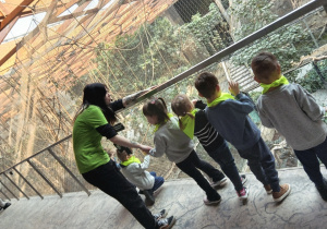 Biedronki zwiedzają teren z przewodnikiem