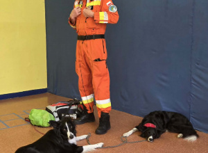 Spotkanie z ratownikiem i psami ratowniczymi