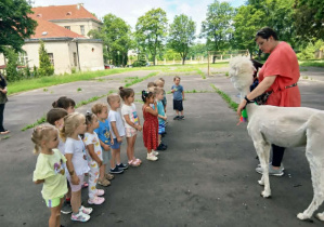 Spotkanie z alpakami - Grupa Biedronki